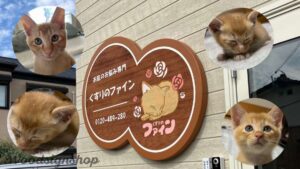 保護猫をロゴにした木製看板