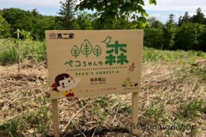 群馬県・赤城山の草木が茂る自然豊かな森の中に設置された、株式会社不二家様の「ペコちゃんの森 ＠赤城山 Since 2026」の木製看板。ペコちゃんのイラストやロゴ、可愛い木のマークが緑色で描かれています。