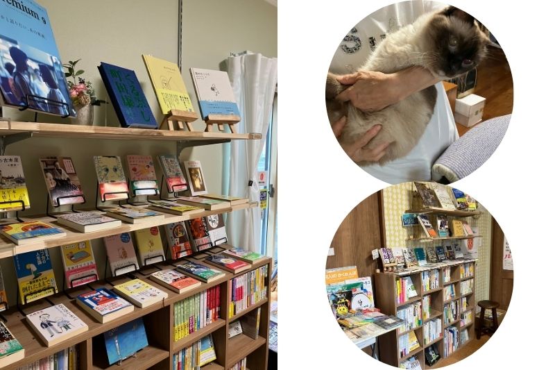 本屋ひるね店内の本棚と、抱っこされている看板